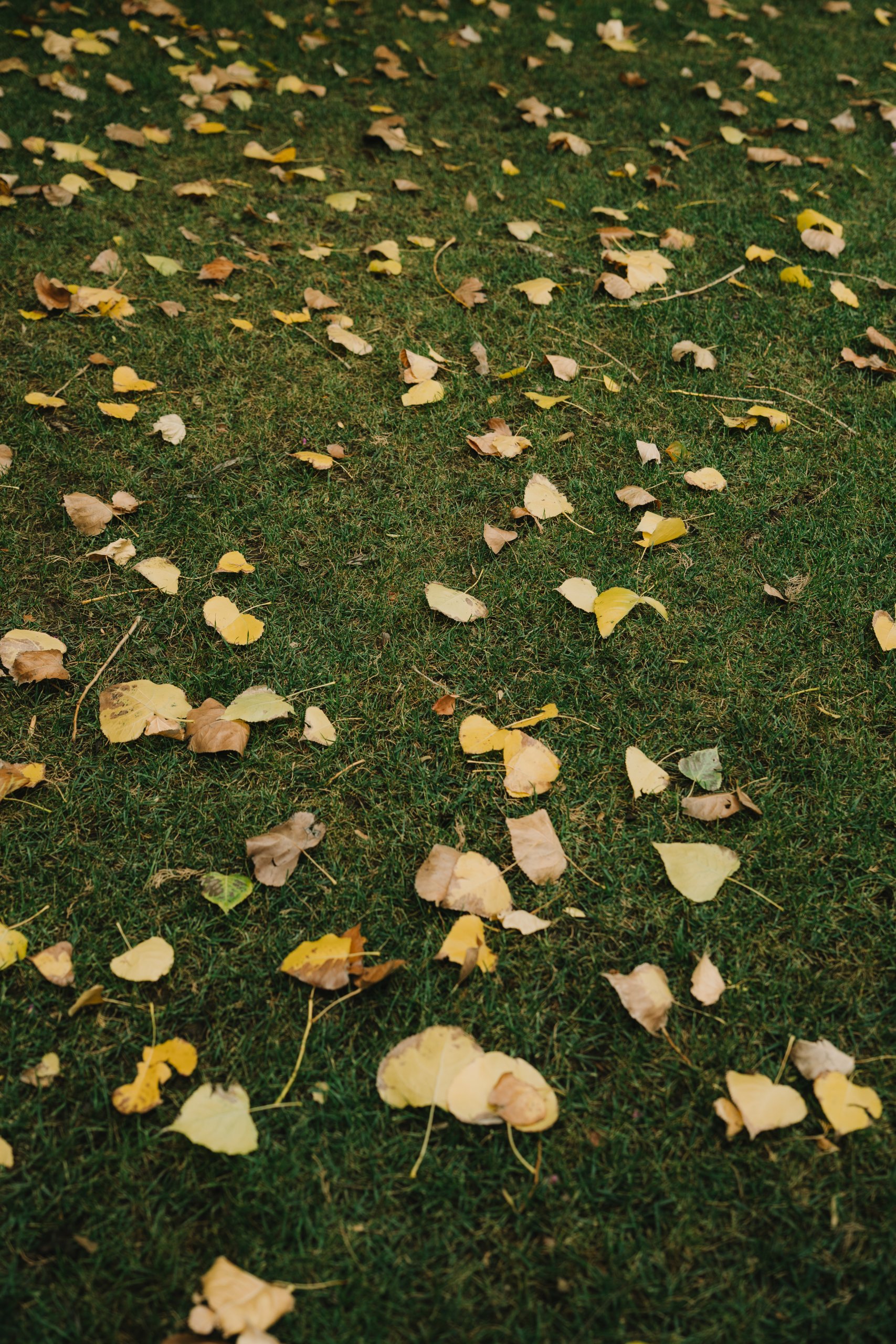 claireandmatthias_sneekpeak-2