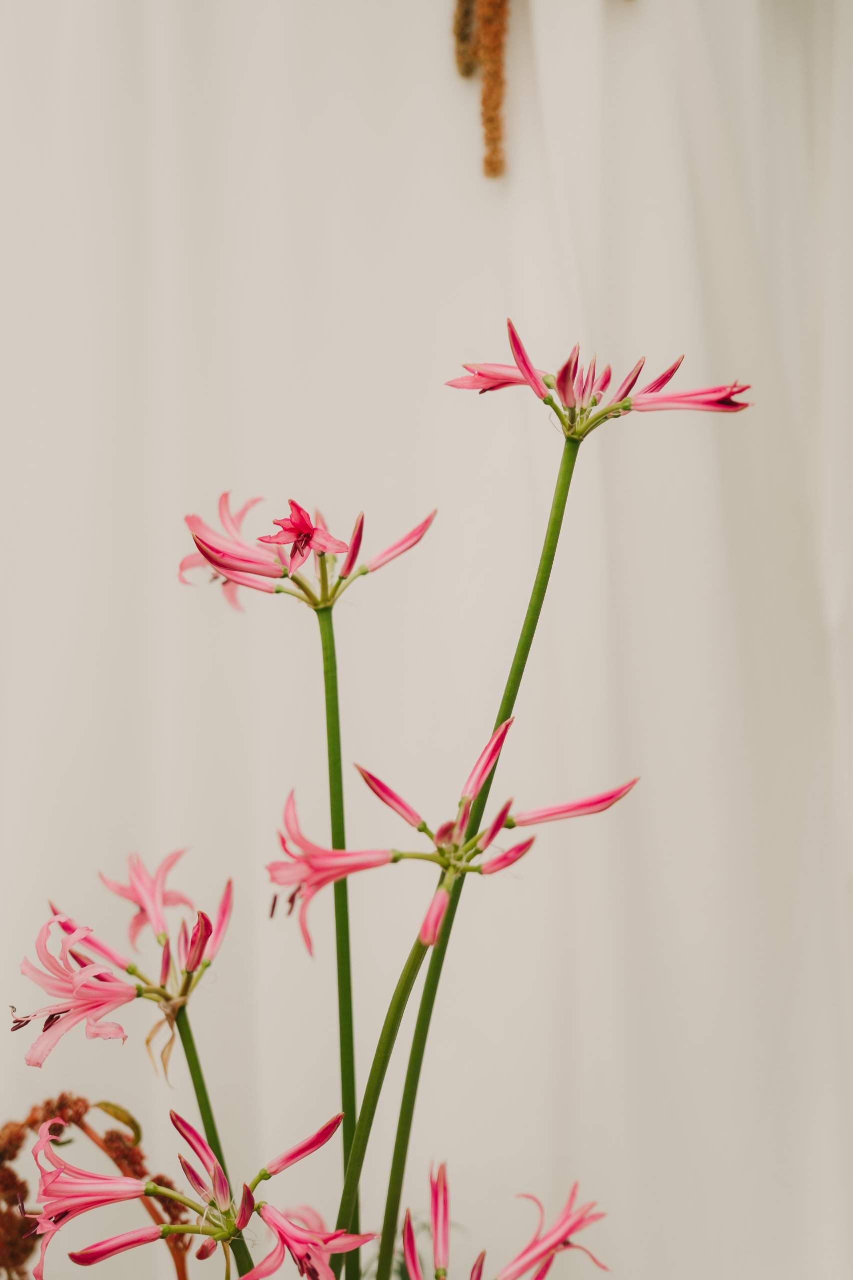 claireandmatthias_sneekpeak-20