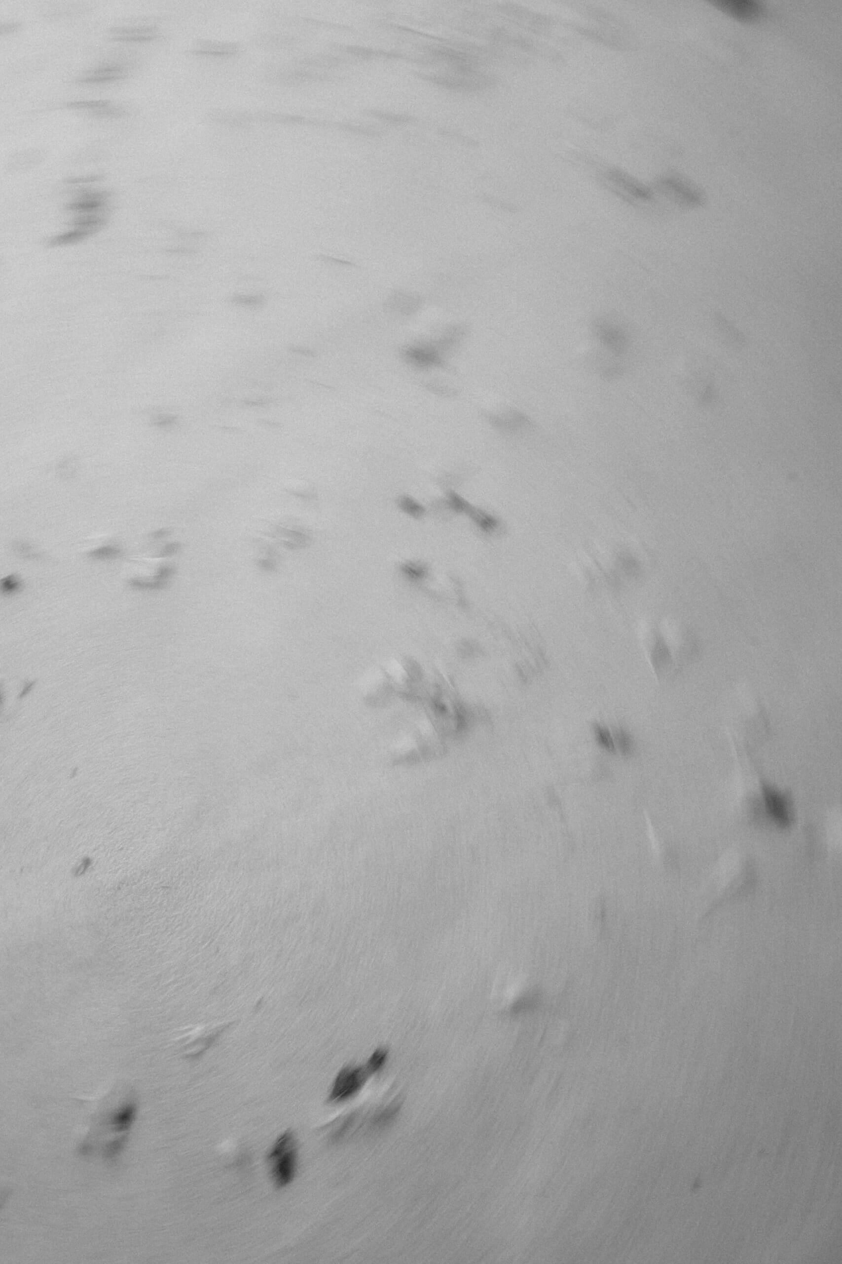 jenandnic_sneakpeek-19